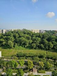 Blk 450D West Terra @ Bukit Batok (Bukit Batok), HDB 2 Rooms #545468721